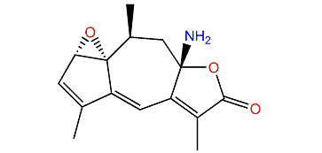 Menverin J